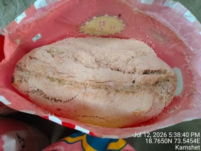 Water Affected Stock of Paddy Rice, Rice, & Brown Rice